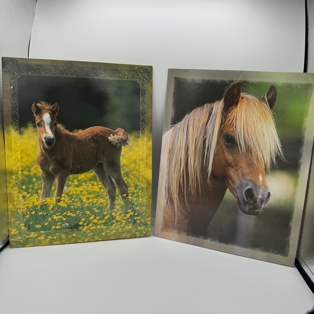 Vintage Mead Splendor Horse Folders 2 Pack 2005 Equestrian School Supplies
